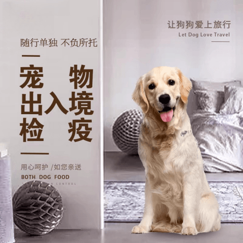 西青区宠物托运到哥伦比亚猫狗宠物入境规定和