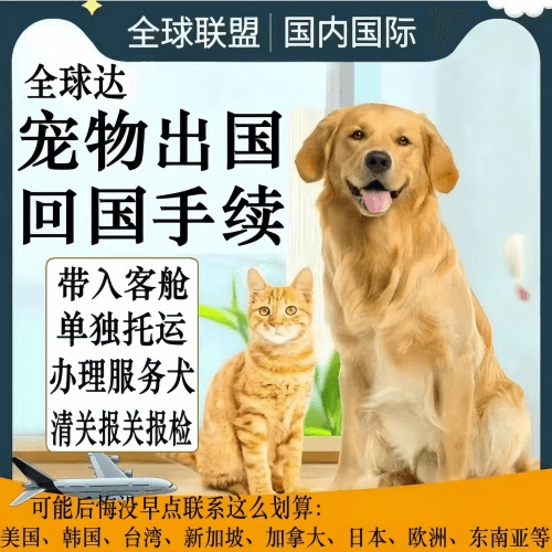 西青区宠物托运到柬埔寨宠物入境规定和要求