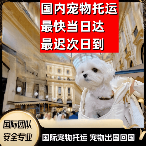 西青区到澳大利亚（澳洲）宠物入境规定和要求